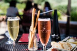 意甲再燃激情,蓝黑双雄再创佳绩!昨晚意甲联赛